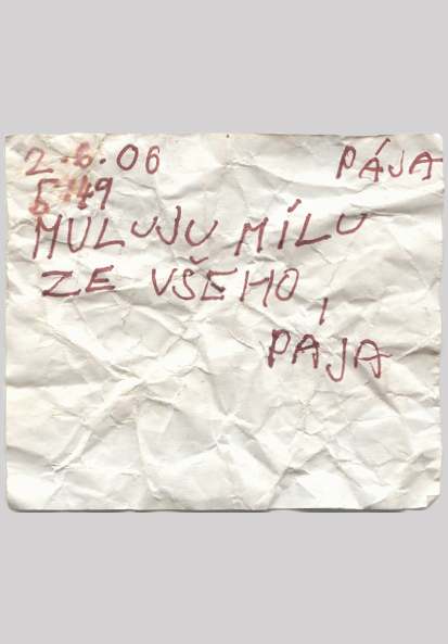 Foto . 12